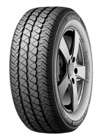 205/65R16 Evergreen EW 616 107T