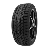 225/50R17 Delinte WINTER WD6 98T