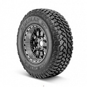 ROADIAN MT