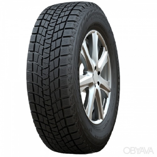 245/55R19 Habilead ICEMAX RW501 103H